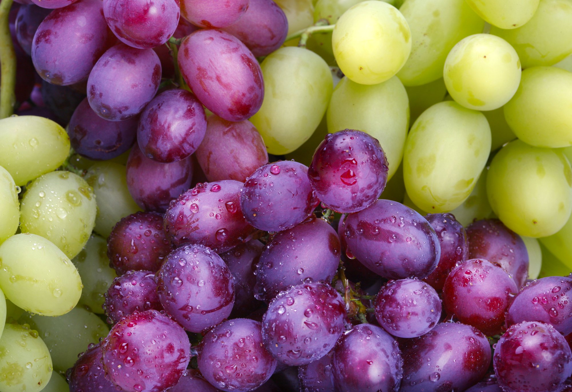 Las uvas, aliadas contra la demencia